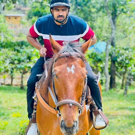 Barsati Ranches Villa ไวทีรี ภายนอก รูปภาพ